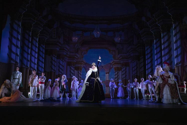 Werbebild „Dornröschen“