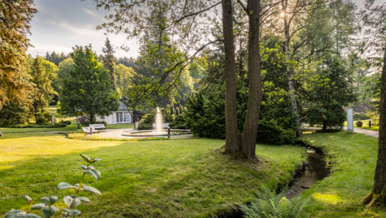 Historischer Kurpark Bad Brambach 25