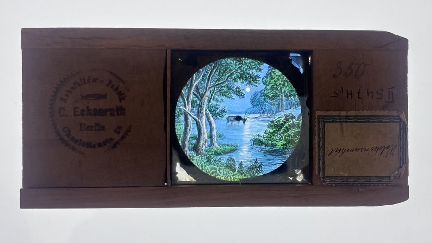 Glasbild 'Waldeinsamkeit' - Wald mit einem See in der Mitte bei Mondsc
