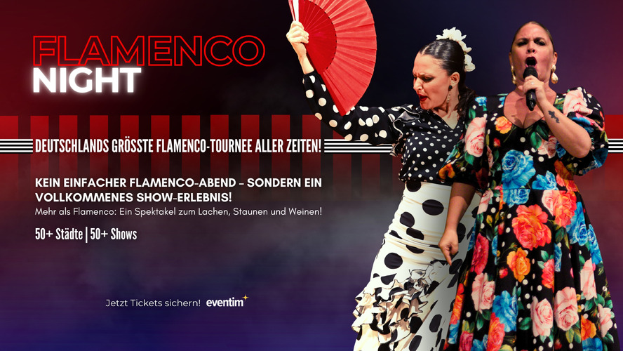 Flamenco Night