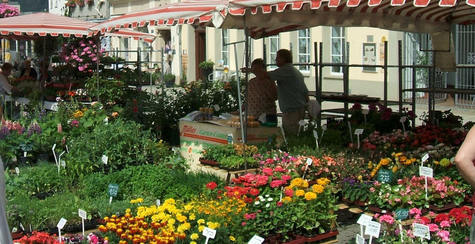 Geraer Bauernmarkt auf dem Marktplatz