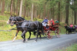 Pferdekutsche
