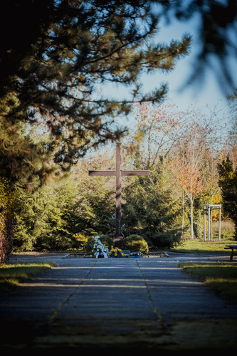 Holzkreuz, davor Blumen
