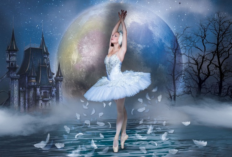Schwanensee - Solenne Ballet Classique am 01.11.2026 im KuK
