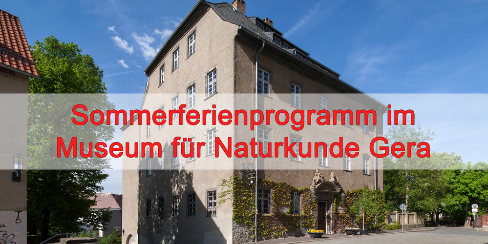Sommerferienprogramm im Museum für Naturkunde Gera