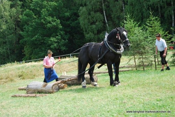 Holzrücken