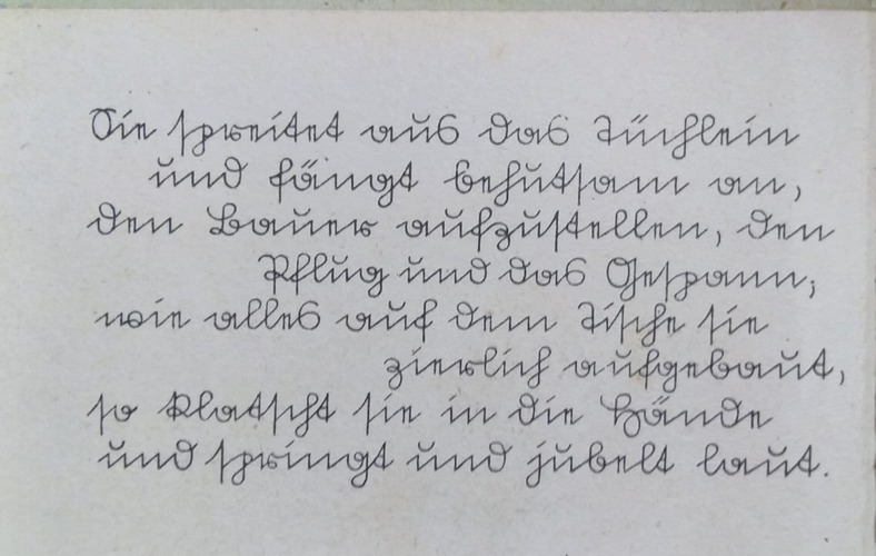 Sütterlin- Schrift