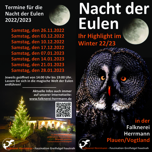 Nacht der Eulen