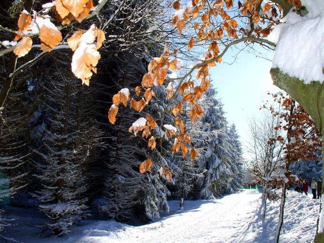 4. Deutscher Winterwandertag in Schöneck/Vogtland 2020