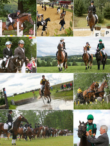 Ponyfestival in Lengenfeld