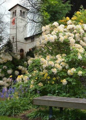 Botanischen Garten