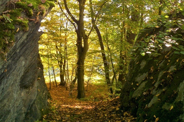 Elstersteig
