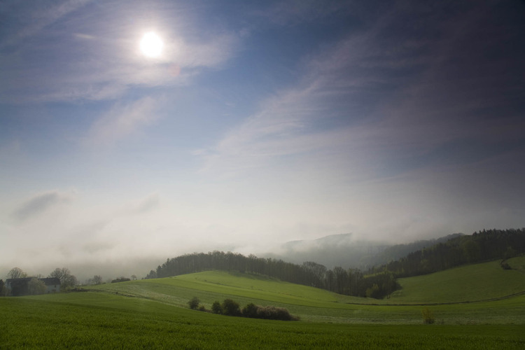 im Frühling