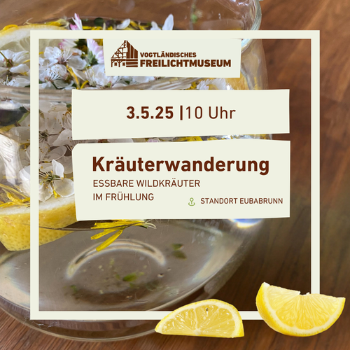 Kräuterwanderung Frühlung
