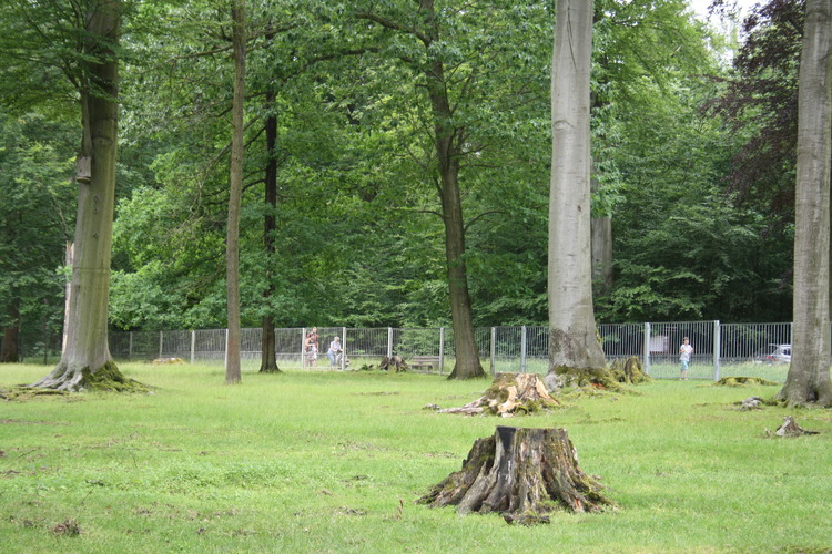 Waldhaus bei Greiz