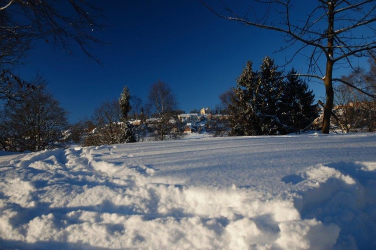 4. Deutscher Winterwandertag in Schöneck/Vogtland 2020