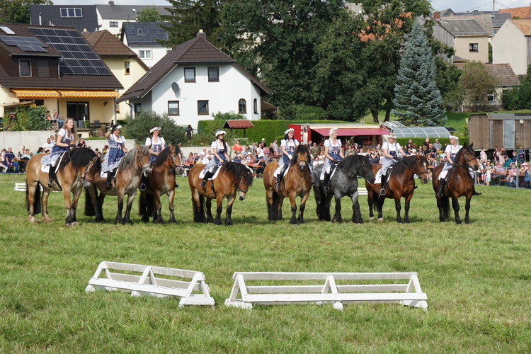 Pferdeschau Großfriesen 24