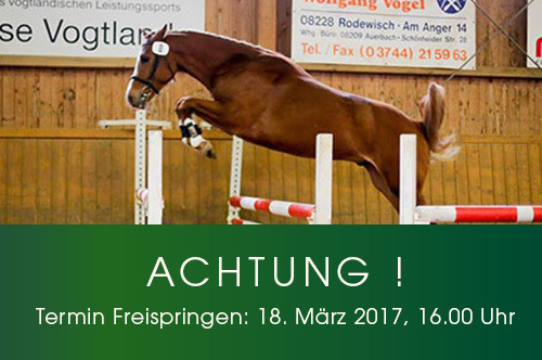 Vogtländisches Freispringchampionat