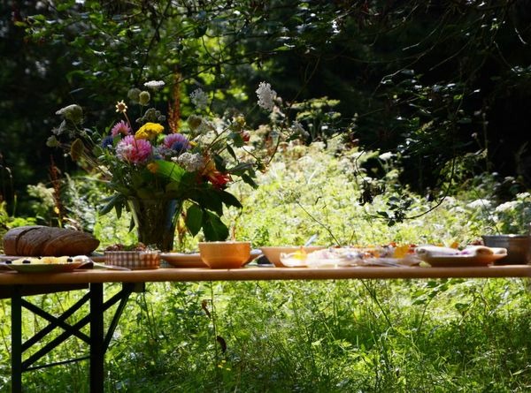 Wildkräuter-Picknick