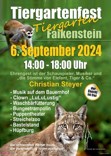 Stadt Falkenstein