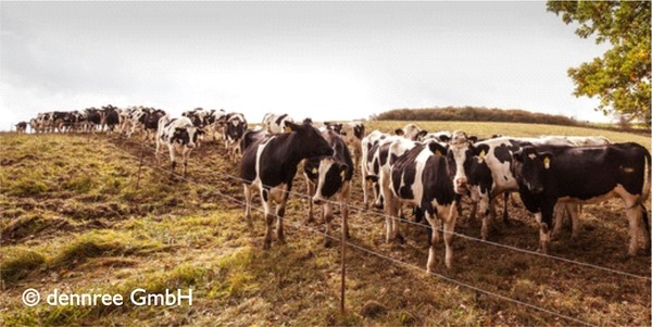 Artgerechte Tierhaltung