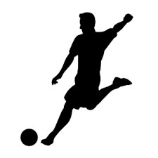 FSV Zwickau Fussballschule