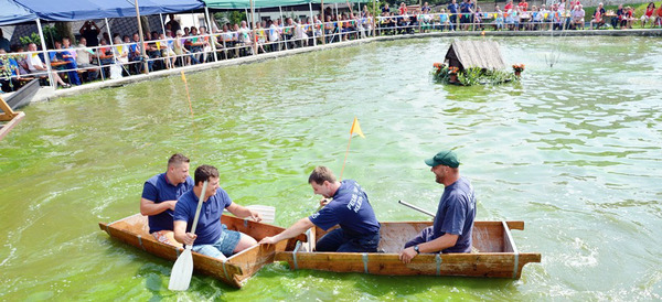 auf den Scholaser Dorfteich auf den Scholaser Dorfteich