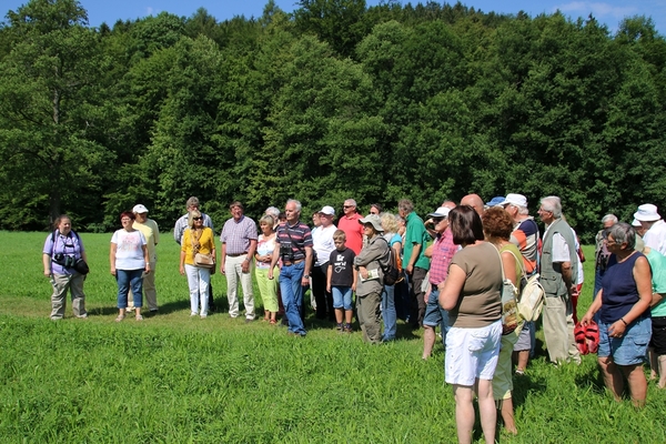 Schmetterlingswanderung Schmetterlingswanderung