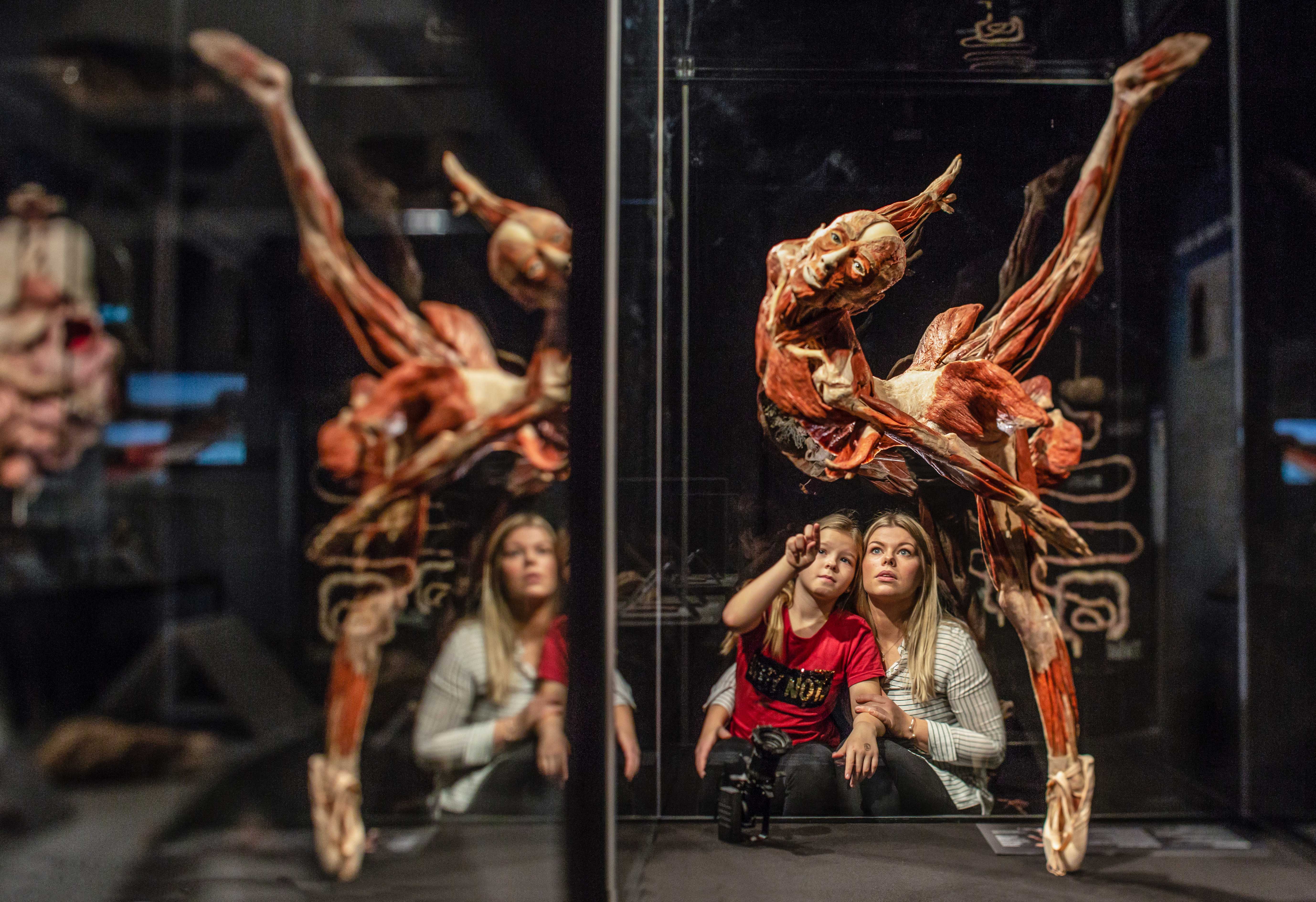 Ausstellung_Plastinat