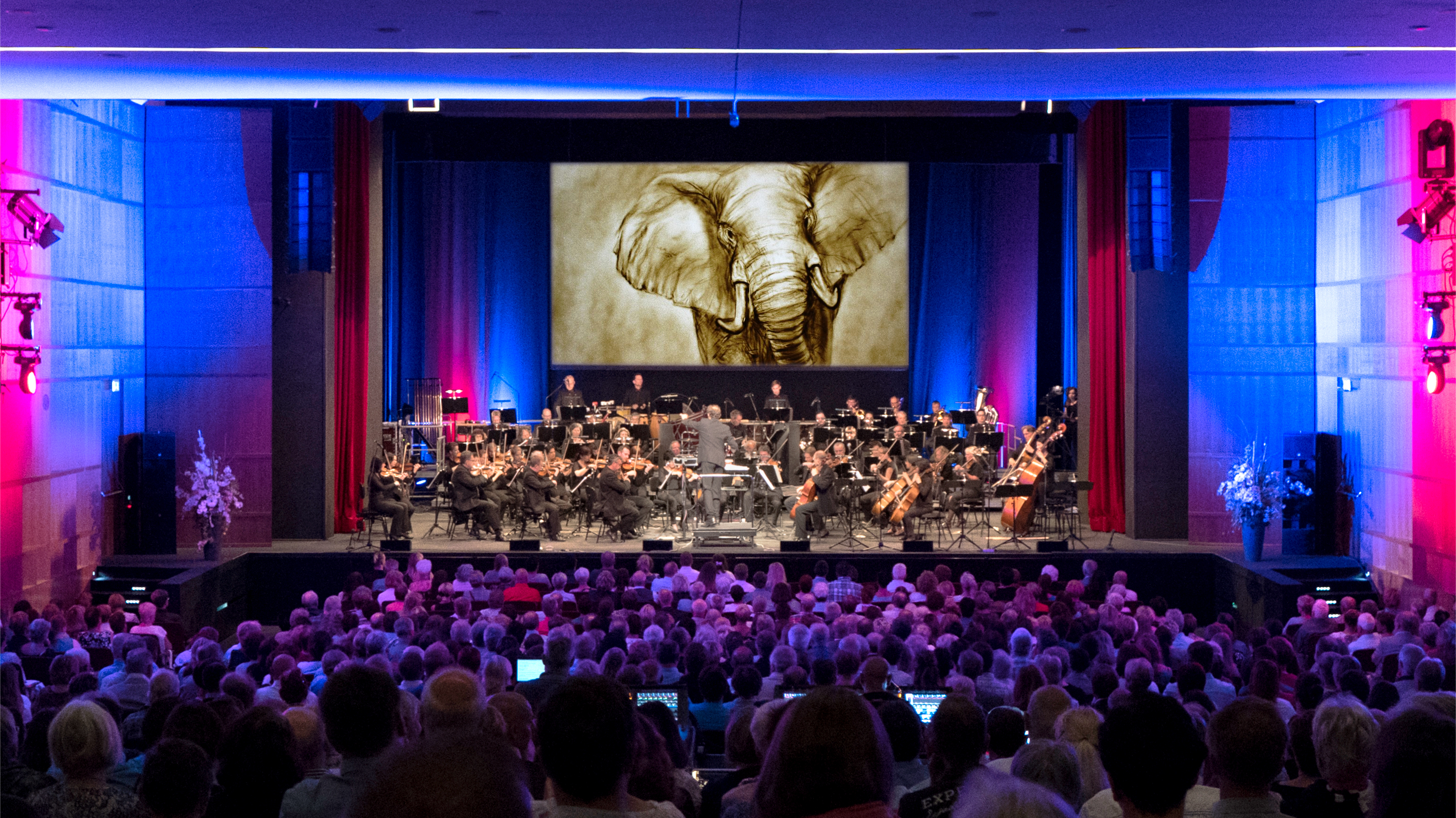 Familienkonzert - Tiere in der Musik